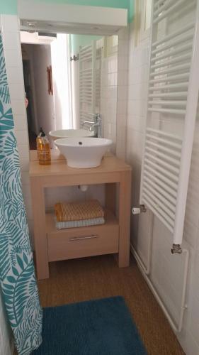 une salle de bain avec un lavabo et un miroir dans l'établissement Logement pour 2 près de la seudre, à Nieulle-sur-Seudre