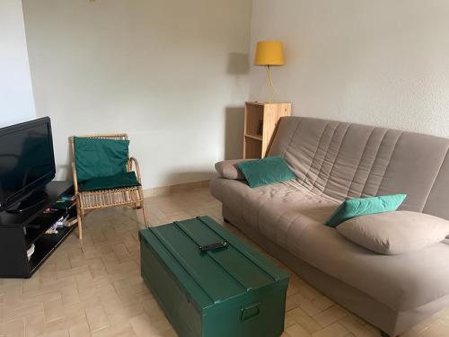 un salon avec un canapé et une télévision dans l'établissement Appartement avec jardin et parking privé à 3 min à pied de la plage St Pierre la mer, à Fleury