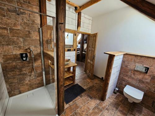 ein Bad mit einer Dusche und einem WC in der Unterkunft Božská usedlost in Prackov