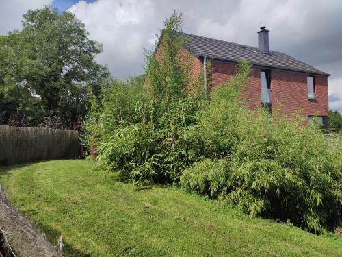 a row of bushes in front of a house at Fredhousedurbuy 1 in Durbuy