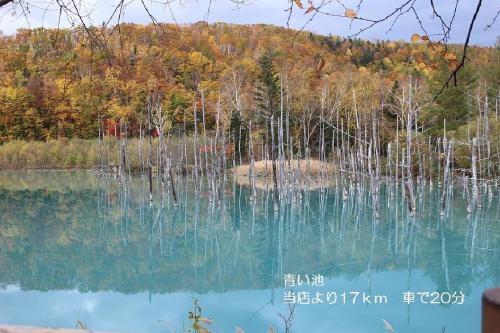 a view of a lake with trees in the background at カフェロッジ Touch Wood in Biei