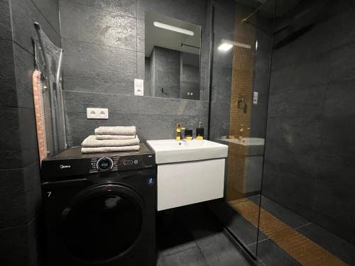 a bathroom with a washing machine and a sink at Apartman Champion III in Pilsen