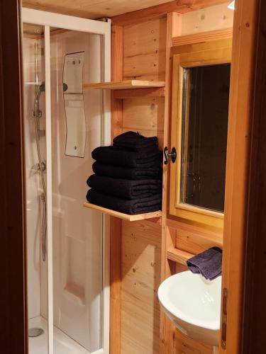 a bathroom with a shower and a toilet and a sink at le cocon d'amour " Roulotte avec jaccuzi privé " in La Chapelle-du-Fest