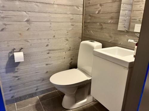 a bathroom with a white toilet and a sink at Salmons väg Funäsdalen in Funäsdalen