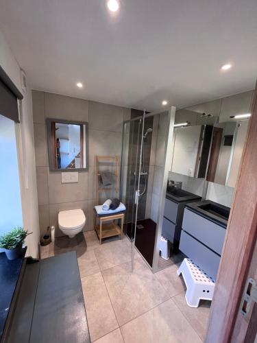 a bathroom with a shower and a toilet and a sink at L’Aragne in Dinant