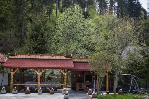 O grădină în afara Casa Pojorâta