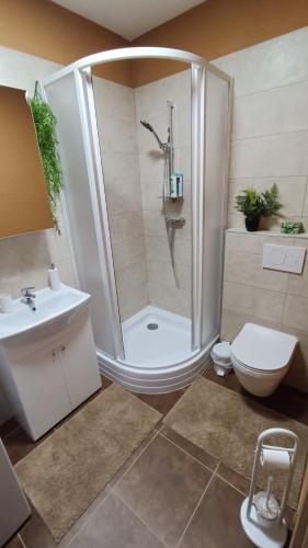 a bathroom with a shower and a toilet and a sink at GUDU apartments in Košice