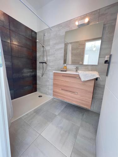 a bathroom with a shower and a sink and a mirror at Studio neuf dans cadre idyllique proche nature in Aubais