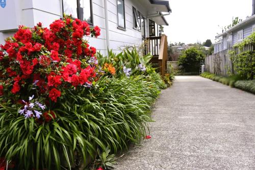 a bunch of red flowers on the side of a house at Hidden Gem for business traveller's in Tauranga