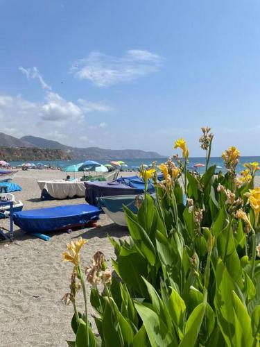 a group of boats on a beach with flowers at Lovely studio Nerja ground floor in Nerja