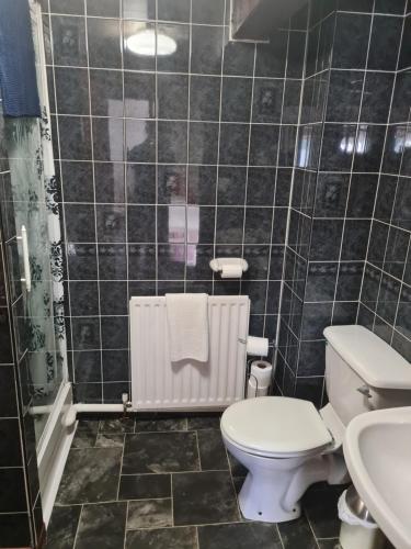 a bathroom with a toilet and a sink at Brown Cow Apartment in Dalton in Furness