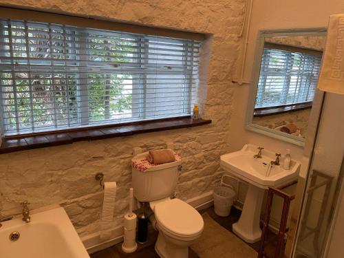 a bathroom with a toilet and a sink at Wood Quay - A truly unique, seafront experience! in Carlingford