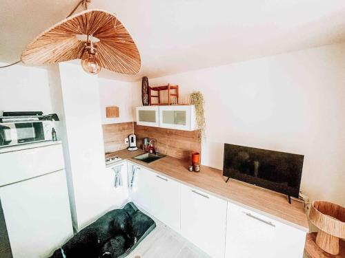 uma cozinha com um balcão com uma televisão em La Casita ,Appartement face à l’étang em Le Barcarès