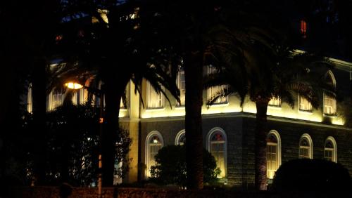 a lit up building with palm trees in front of it at Apartments Kojic in Bar