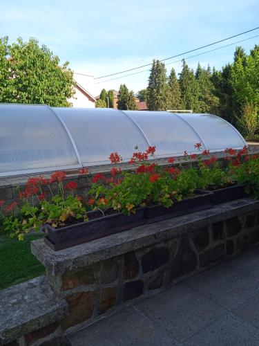 a garden with flowers in a greenhouse at Apartment Pražská in Rokycany