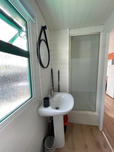a bathroom with a sink and a mirror at Camping des Acacias in Saint-Paulet-de-Caisson