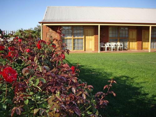 Zahrada ubytování Coonawarra Place Motor Inn
