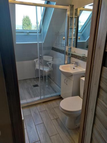 uma casa de banho com um WC, um lavatório e um chuveiro em Apartament Tujka Żywiec em Żywiec