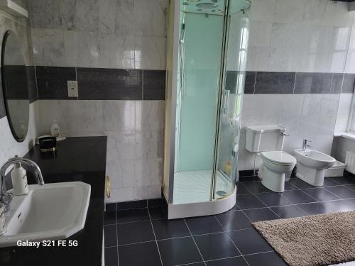 een badkamer met een douche, een wastafel en een toilet bij Ballycurrin House in Galway
