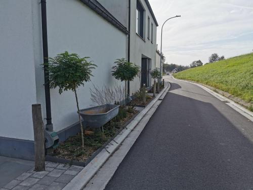 a building with trees on the side of a road at ScraB&Ble Ecologische gastenkamers in Bornem