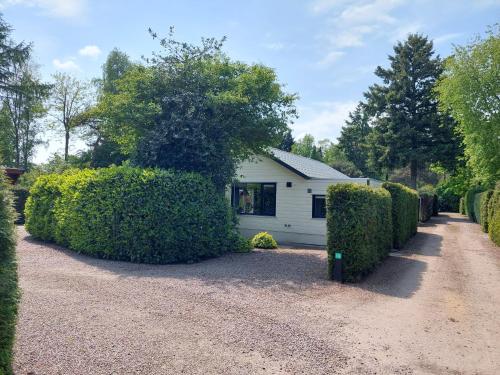 a white house with hedges in front of a driveway at Huisje nr. 18 met jacuzzi in Putten