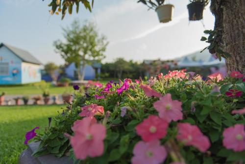 a bush of pink flowers in front of a tree at XinFu Traveler Inn in Taiping