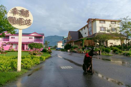 a black dog sitting in the middle of a street at XinFu Traveler Inn in Taiping