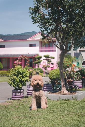 a teddy bear sitting in the grass next to a tree at XinFu Traveler Inn in Taiping