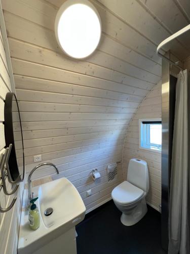 uma casa de banho com um WC e um lavatório em Helle Aktivitetshotel em Årre