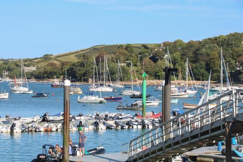 a group of boats are docked in a marina at 18 Robinsons Row in Salcombe