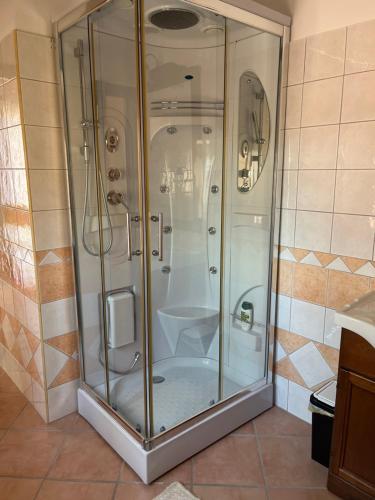 a shower with a glass door in a bathroom at B&B Amistade in Seùlo