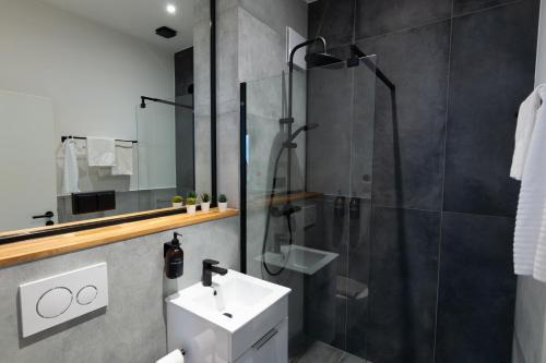 a bathroom with a shower and a sink and a toilet at Goldstadt Apartments in Pforzheim