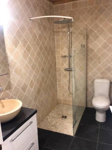 une salle de bain avec une douche, des toilettes et un lavabo dans l'établissement Typique maison de village, à Saint-Quentin-la-Poterie
