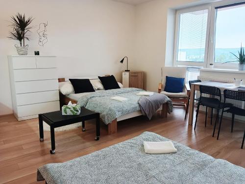 Postel nebo postele na pokoji v ubytování Apartman Bystrc