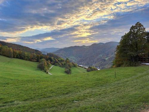 a green field with trees and mountains in the background at Appartement Eigelsreiter Lindwurm in Traisen
