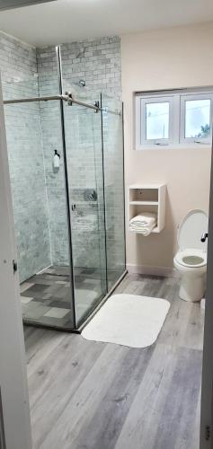 The Island Experiences Luxury Villa في Choiseul: حمام مع دش زجاجي ومرحاض