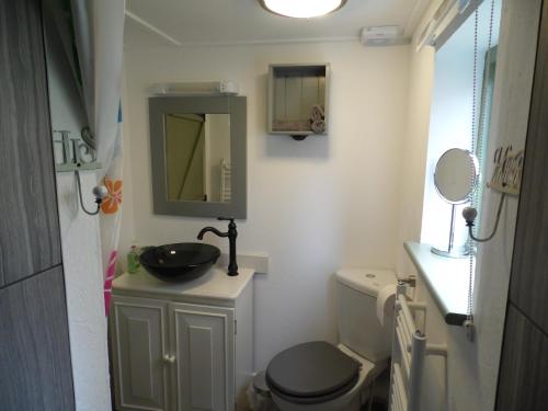 a bathroom with a sink and a toilet and a mirror at Newchurch Nook in Newchurch