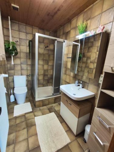 a bathroom with a shower and a toilet and a sink at Ruhig gelegene Ferienwohnung im Grünen mit Terrasse und kleinem Garten in Rotthalmünster