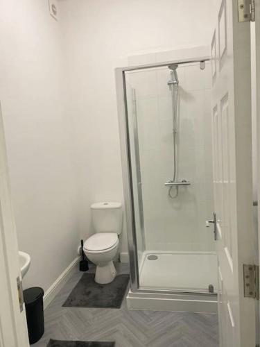 a bathroom with a toilet and a glass shower at Central Bridgewater Flat in Bridgwater