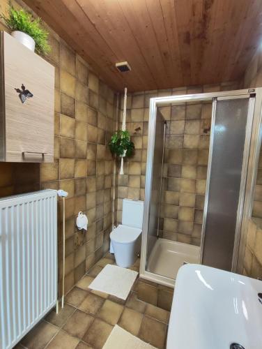 a bathroom with a toilet and a shower and a sink at Ruhig gelegene Ferienwohnung im Grünen mit Terrasse und kleinem Garten in Rotthalmünster