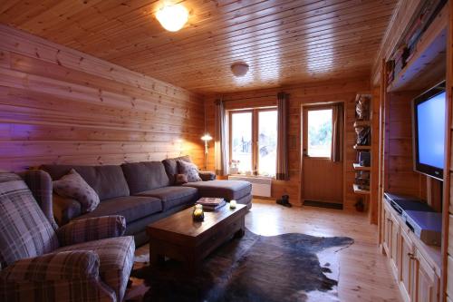 ein Wohnzimmer mit einem Sofa und einem TV in der Unterkunft Beautiful Chalet on Mt. Parnassos near ski resort in Kalánia