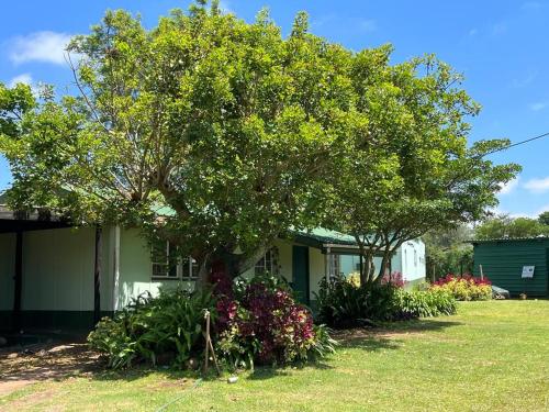 Κήπος έξω από το Elwandle Guest House
