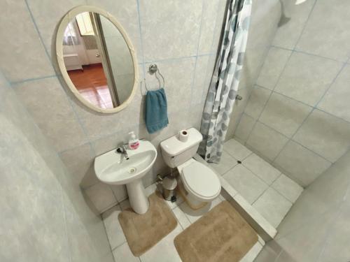 W łazience znajduje się toaleta, umywalka i lustro. w obiekcie Chaikoni Lodge w mieście Pucallpa