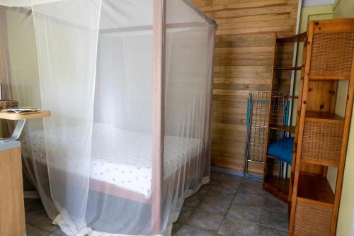 a bedroom with a bed with a mosquito net at L’émeraude in Saint-Claude