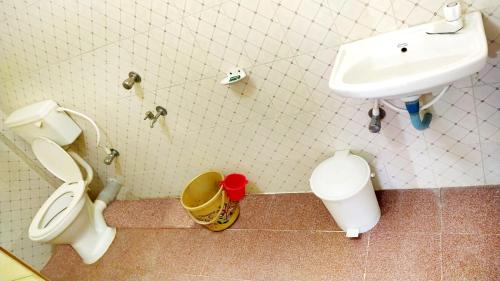a bathroom with a toilet and a sink at Dream Land Resort Havelock in Havelock Island