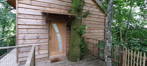 une maison en bois avec un arbre qui pousse autour de la porte dans l'établissement La Pat' de l'ours, à Raon-aux-Bois