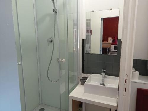 La salle de bains est pourvue d'une douche, d'un lavabo et d'un miroir. dans l'établissement Appartement le bar du JURA, à Saint-Claude