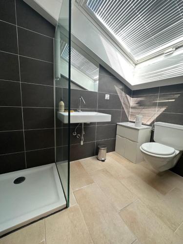 a bathroom with a toilet and a sink at Chalet Rose Bay in Leysin