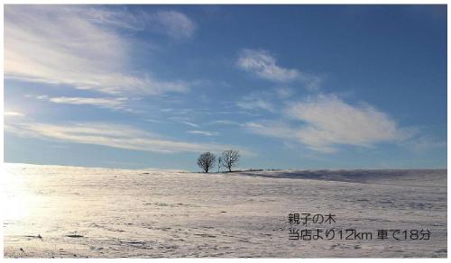 a tree in the middle of a snow covered field at カフェロッジ Touch Wood in Biei