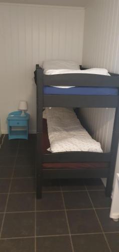 New apartment near the sea tesisinde bir ranza yatağı veya ranza yatakları